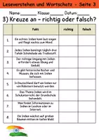 Vorschau - Arbeitsblätter - Indien : Leseverstehen und Wortschatz - DaZ/DaF • Deutsch • Sachunterricht - Seite 3