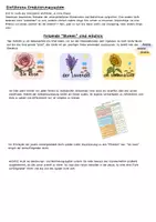 Vorschau - Arbeitsblätter - Graduierungssystem für die Grundschule - Seite 2