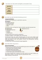 Vorschau - Arbeitsblätter - Europa in Flammen Dossier inkl. Lösungen (1. Weltkrieg) - Geschichte - Seite 3