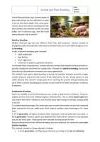Vorschau - Arbeitsblätter - Sparpaket: Komplettpaket Genetics - bilingual (with solutions) - Seite 2