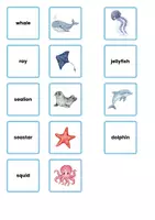 Vorschau - Spiele - Meerestiere_Memory auf Englisch - Seite 2