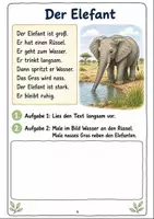 Vorschau - Arbeitsblätter - Erstlesen Wilde Tiere Klasse 1 - Seite 3