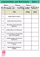 Vorschau - Arbeitsblätter - Quallen : Leseverstehen und Wortschatz - DaZ/DaF • Deutsch • Sachunterricht - Seite 3