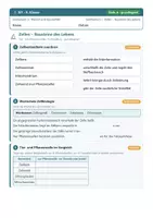 Vorschau - Arbeitsblätter - NT 9 Mittelschule - Mensch und Gesundheit - Seite 2