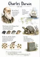 Vorschau - Arbeitsblätter - Lernposter + AB mit Fragen zum Thema "Charles Darwin" + Lösungsblatt + Mindmap + Infografik - Deckblatt