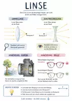 Vorschau - Arbeitsblätter - Lernposter + AB mit Fragen zum Thema "Linse" + Lösungsblatt + Mindmap + Infografik - Deckblatt
