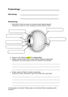 Vorschau - Arbeitsblätter - Blinder Fleck - Seite 1