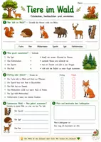 Vorschau - Arbeitsblätter - Tiere im Wald – Entdecken, beobachten und verstehen - Seite 1