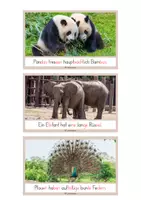 Vorschau - Text - Schlaumeier-Heftchen Zoo (Lesen auf Satzebene, mit Silbenschrift) - Seite 3