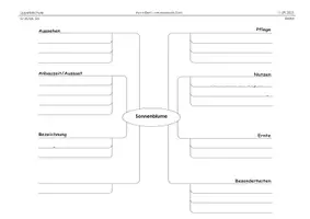 Vorschau - Arbeitsblätter - informierende Texte knacken - Einführung Textknacker - Seite 2