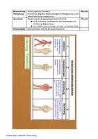 Vorschau - Stundenentwürfe - Verlauf von Infektionskrankheiten - Seite 3