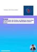 Vorschau - Stundenentwürfe - Aufbau & Funktion von Bakterienzellen - Seite 2