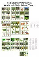 Vorschau - Fördermaterial/Inklusion - 55 Bildkarten Wortkarten Wald Bäume Waldtiere - Deckblatt