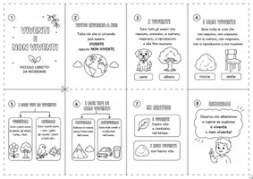 anteprima - Altro tipo di materiale - Viventi e non viventi - Libretto da costruire - Pagina 2