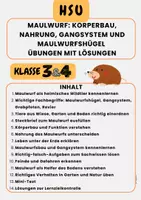 Vorschau - Arbeitsblätter - Maulwurf: Körperbau, Nahrung, Gangsystem und Maulwurfshügel Übungen mit Lösungen Klasse 3 & Klasse 4 - Seite 1