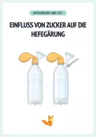 Vorschau - Experimente - Einfluss von Zucker auf die Hefegärung – Ballon & CO₂ - Deckblatt