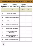 Vorschau - Arbeitsblätter - Spinnen : Leseverstehen und Wortschatz - DaZ/DaF • Deutsch • Sachunterricht - Seite 3