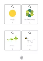 Voorbeeld - Natuur ontdek kaarten kleur-4 - Pagina 3