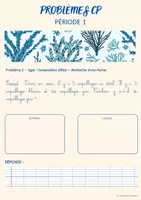 Aperçu - Feuilles d'exercices - BANQUE DE PROBLEME P1 OCEAN C2-C3 - Page 2