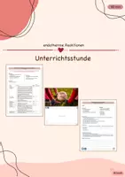 Vorschau - Stundenentwürfe - endotherme Reaktionen - ganze Unterrichtsstunde! - Deckblatt