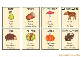 Vorschau - Spiele - SPIEL "WÖRTER ERKLÄREN": Herbst-Edition - Seite 3