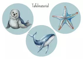 Vorschau - Präsentationen/Tafelbilder - Sitzordnung - Flexibles Sitzen/ Freies Sitzen - Seite 3