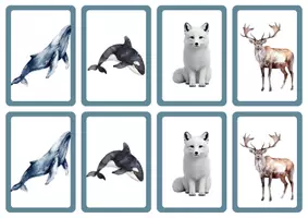 Aperçu - Jeux - Jeu du mistigri - Animaux de la banquise - Page 2