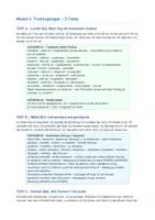 Vorschau - Unterrichtsreihen - Verbformen und Verbzusätze – Infinitiv, Partizipien, trennbare - Seite 3