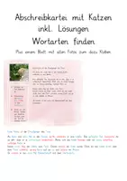 Vorschau - Stationenlernen - Abschreibkartei Katze - Wortarten suchen - Deckblatt