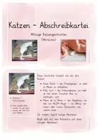 Vorschau - Stationenlernen - Abschreibkartei Katze - Wortarten suchen - Seite 1