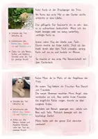 Vorschau - Stationenlernen - Abschreibkartei Katze - Wortarten suchen - Seite 2