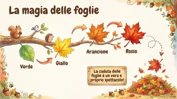 anteprima - Schede informative - Magico Autunno - Pagina 3