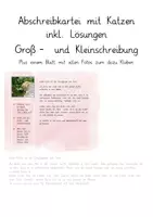 Vorschau - Stationenlernen - Abschreibkartei Katze - Groß- und Kleinschreibung - Deckblatt