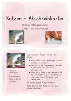 Vorschau - Stationenlernen - Abschreibkartei Katze - Groß- und Kleinschreibung - Seite 1