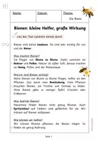 Vorschau - Arbeitsblätter - Die Biene: Lesetext und Leseverstehenaufgaben - Seite 2