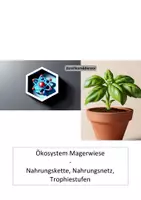 Vorschau - Arbeitsblätter - Ökosystem Magerwiese - Deckblatt