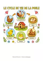 Aperçu - Feuilles d'exercices - Le cycle de vie de la poule (maternelle, cycle 2, inclusion) - Page 2