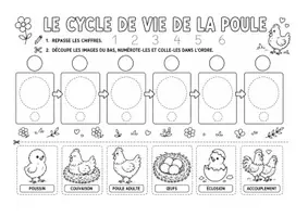 Aperçu - Feuilles d'exercices - Le cycle de vie de la poule (maternelle, cycle 2, inclusion) - Page de couverture