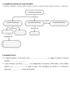 anteprima - Esercizi - Verifica sul sistema nervoso - quinta primaria - Pagina 3