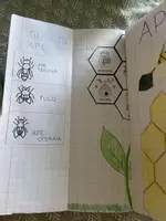 anteprima - Materiale interattivo - Percorso Didattico Completo: Il Mondo delle Api (Scienze, Arte, Coding & Pixel Art) - Pagina 1