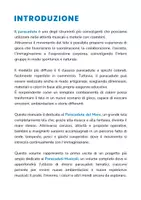 anteprima - Audio - Attività e giochi con il paracadute del Mare (con audio MP3) - Pagina 1