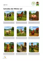 Vorschau - Arbeitsblätter - Deutsch Arbeitsheft - Thema Bauernhof - 2. Klasse - Seite 2