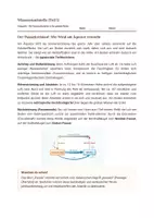 Vorschau - Stundenentwürfe - Geografie: Passatzirkulation und ITC - Klasse 7/8 - Seite 2