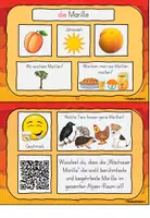 Vorschau - Arbeitsblätter - Obst und Gemüse Kartei Vorschule und 1. Klasse Grundschule - Seite 3