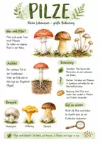 Vorschau - Arbeitsblätter - Lernplakat + Arbeitsblätter zum Thema "Pilze" + Lösung & MP3 + Mindmap - Deckblatt