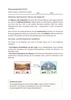Vorschau - Stundenentwürfe - Geografie: Megastadt Wachstum und Probleme - Klasse 8/9 - Seite 2