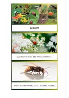 anteprima - Esercizi - LETTURA MAIUSCOLO - CARTE A TEMA - Pagina 1