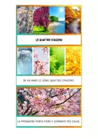 anteprima - Flashcard - LE 4 STAGIONI - MAIUSCOLO - ALLENAMENTO LETTURA - libricini - Pagina di copertina