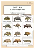Vorschau - Poster - Landschildkröten | 12 Arten | digitale Tafelbilder & Poster - Deckblatt