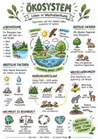 Vorschau - Arbeitsblätter - Lernposter + AB mit Fragen zum Thema "Ökosystem" + Lösungsblatt + Infografik - Deckblatt